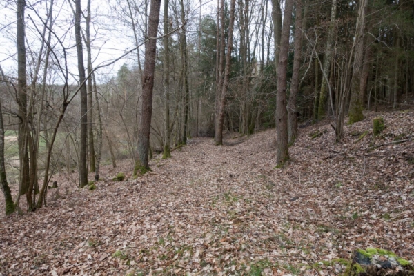 Bahndamm beim Haltepunkt Nothweiler