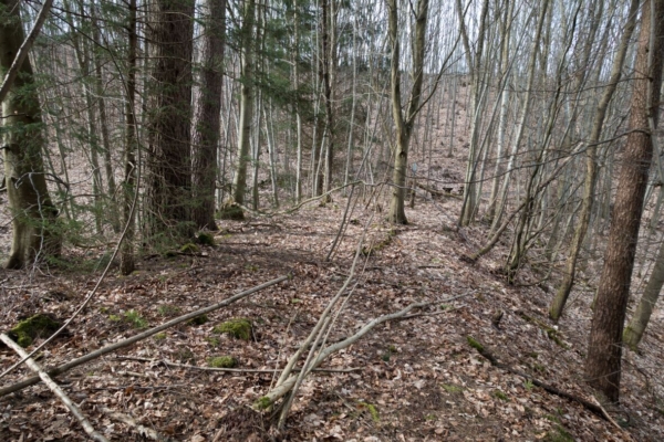 Bahndamm nach dem Talübergang